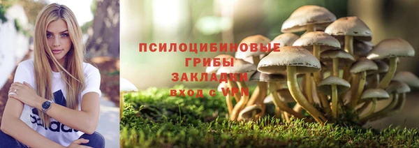 винт Алзамай