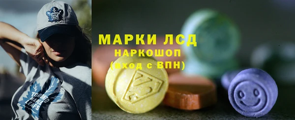 винт Алзамай