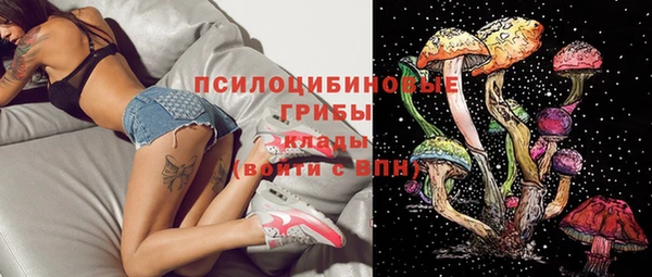 гидра Алексеевка