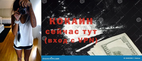 винт Алзамай