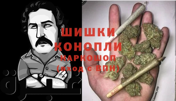 гидра Алексеевка