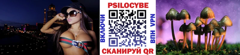 Псилоцибиновые грибы Psilocybine cubensis  дарнет шоп  Княгинино 
